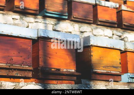 Sommeransicht der ländlichen Imkerei und Honigproduktion auf der Balkanhalbinsel, Bienenstockkolonie, Bienenstockschwarm auf dem Land, mehrfarbig Stockfoto
