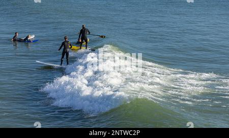 SurfersPoole Hafen Stockfoto