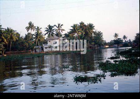 Kerala-Häuser:- die markanteste visuelle Form der Kerala-Architektur ist das lange, steil abfallende Dach, das zum Schutz der Wände des Hauses gebaut wurde und dem schweren Monsun widersteht, normalerweise mit Fliesen oder strohgedeckten Palmenlabyrinth, gestützt auf einem Dachrahmen aus Hartholz und Holz. Kerala ist ein Bundesstaat, der mindestens 6 Monate im Jahr Niederschläge erleidet, und bei einem solchen Klima sind geneigte Dächer immer besser. Kerala-Architektur folgt Thatchu Shasthra, einer Wissenschaft der Tischlerei, die die Gebäude-/Baunuancen regelt. Stockfoto