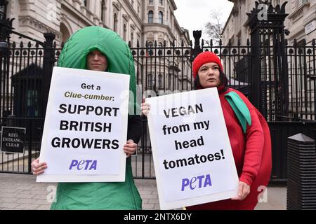 London, England, Großbritannien. 28. Februar 2023. Zwei Tierschützer der PETA-Organisation (People for the Ethical Treatment of Animals), die als Gurke und Tomate verkleidet waren, veranstalteten vor der Downing Street 10 einen Protest und drängten Umweltminister ThérÃ¨se Coffey, die britischen Pflanzenbauern zu unterstützen, inmitten des britischen Obst- und Gemüsemangels. (Kreditbild: © Thomas Krych/ZUMA Press Wire) NUR REDAKTIONELLE VERWENDUNG! Nicht für den kommerziellen GEBRAUCH! Stockfoto