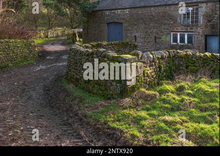 Das Estate Hamlet von Tannbrook im Wald von Bowland in Lancashire Stockfoto