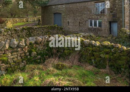 Das Estate Hamlet von Tannbrook im Wald von Bowland in Lancashire Stockfoto