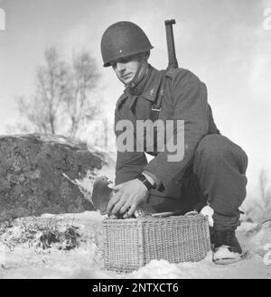 Schwedische Armee im Jahre WW2. Man sieht einen Soldaten, der eine Taube in der Hand hält. Kriegstauben wurden während des Zweiten Weltkriegs vom schwedischen Militär benutzt Die Tauben trugen Nachrichten von einem Ort zum anderen, oft ein Stück Papier in einem kleinen Metallbehälter, der an seinem Bein befestigt war. Brieftauben wurden von einer Spezialeinheit des schwedischen Militärs behandelt und ausgebildet. Brieftauben spielten eine wichtige Rolle bei der Invasion der Normandie, da Funkgeräte nicht aus Angst benutzt werden konnten, dass wichtige Informationen vom Feind abgefangen werden. Schweden dezember 1940. Kristoffersson Ref. 184-19 Stockfoto