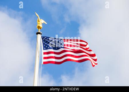 Die Flagge der Stars and Stripes mit Goldadler über dem Cambridge American Cemetery and Memorial, Madingley, Cambridgeshire, England Stockfoto