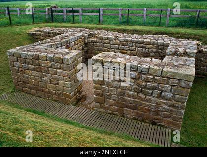 Intervallturm innerhalb der S-Mauer der römischen Festung Chesters, Hadrian's Wall, Northumberland, England, Großbritannien, Zwischen S-Gate und SE-Winkelturm. Stockfoto