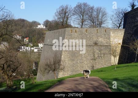 Dicke Mauern einer Burg in Bielefeld Stockfoto