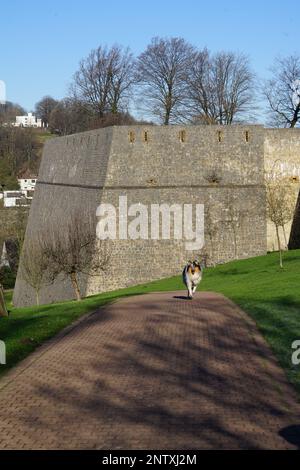 Dicke Mauern einer Burg in Bielefeld Stockfoto