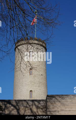 Turm in Bielefeld Stockfoto