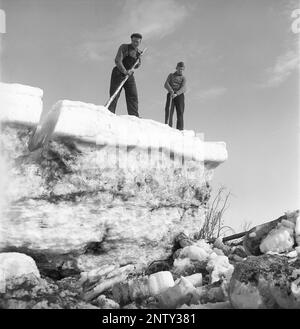 Naturkatastrophe in den 1940er Jahren. Im Frühsommer, den 20-23. Mai 1944, überflutete das Wasser im Fluss Torne älv aufgrund einer Eismasse, die das Wasser 3,5 Meter höher als normal dämpfte. Die Konsequenzen waren schwerwiegend. Auf dem umliegenden Gelände wurden Meter Eis zurückgelassen, als das Wasser ablief und die Bauernhäuser und die Felder zerstörte. Das Dorf Korpikylä in der Nähe von Skogskärr und ein Blick auf Torne Älv und die riesigen Eisblöcke. Kristoffersson Ref. H116-5 Stockfoto