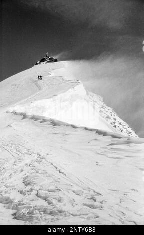 Skitour, Wildspitze, Ötztalalpen, Mittelöstliche Alpen, Tirol, Österreich 1956 Stockfoto