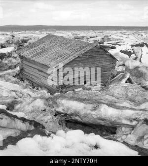 Naturkatastrophe in den 1940er Jahren. Im Frühsommer, den 20-23. Mai 1944, überflutete das Wasser im Fluss Torne älv aufgrund einer Eismasse, die das Wasser 3,5 Meter höher als normal dämpfte. Die Konsequenzen waren schwerwiegend. Auf dem umliegenden Gelände wurden Meter Eis zurückgelassen, als das Wasser ablief und die Bauernhäuser und die Felder zerstörte. Das Dorf Korpikylä in der Nähe von Skogskärr und ein Blick auf ein Fachwerkhaus, das durch das Eis weit entfernt von seinem ursprünglichen Standort bewegt wurde. Kristoffersson Ref. H118-3 Stockfoto