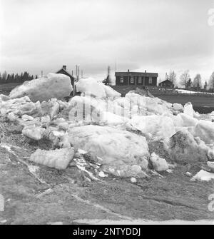 Naturkatastrophe in den 1940er Jahren. Im Frühsommer, den 20-23. Mai 1944, überflutete das Wasser im Fluss Torne älv aufgrund einer Eismasse, die das Wasser 3,5 Meter höher als normal dämpfte. Die Konsequenzen waren schwerwiegend. Auf dem umliegenden Gelände wurden Meter Eis zurückgelassen, als das Wasser ablief und die Bauernhäuser und die Felder zerstörte. Das Dorf Korpikylä in der Nähe von Skogskärr und seine tiefer liegenden, mit Eis bedeckten Grundstücke und die Häuser oben, die glücklicherweise dem Eis entkamen. Kristoffersson Ref. H122-2 Stockfoto