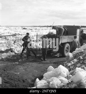 Naturkatastrophe in den 1940er Jahren. Im Frühsommer, den 20-23. Mai 1944, überflutete das Wasser im Fluss Torne älv aufgrund einer Eismasse, die das Wasser 3,5 Meter höher als normal dämpfte. Die Konsequenzen waren schwerwiegend. Auf dem umliegenden Gelände wurden Meter Eis zurückgelassen, als das Wasser ablief und die Bauernhäuser und die Felder zerstörte. Die Hauptstraße, die gerade vom Eisschutz entfernt wurde, wird vorübergehend repariert und Männer werden dabei gesehen, wie sie Kies auf sie schaufeln, in der Nähe des Dorfes Korpikylä bei Skogskärr Kristoffersson Ref. H120-2 Stockfoto