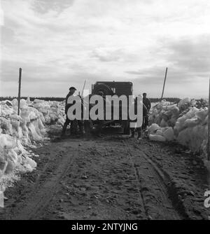 Naturkatastrophe in den 1940er Jahren. Im Frühsommer, den 20-23. Mai 1944, überflutete das Wasser im Fluss Torne älv aufgrund einer Eismasse, die das Wasser 3,5 Meter höher als normal dämpfte. Die Konsequenzen waren schwerwiegend. Auf dem umliegenden Gelände wurden Meter Eis zurückgelassen, als das Wasser ablief und die Bauernhäuser und die Felder zerstörte. Die Hauptstraße, die gerade vom Eisschutz entfernt wurde, wird vorübergehend repariert und Männer werden dabei gesehen, wie sie Kies auf sie schaufeln, in der Nähe des Dorfes Korpikylä bei Skogskärr Kristoffersson Ref. H120-4 Stockfoto