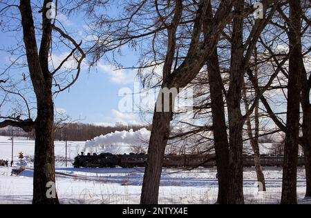 SL Fuyu-keine-Shitsugen Zug, Kushiro Shitsugen Nationalpark, Hokkaido, Japan Stockfoto