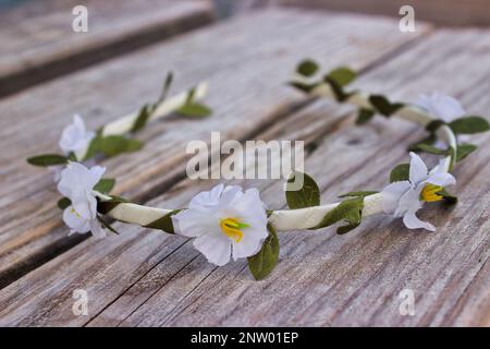 Sommerfoto mit Haarband und weißen Blumen auf hellem Holz. Stockfoto