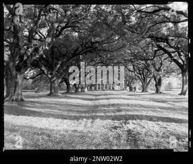 Oak Alley, Vacherie vic., St. James Parish, Louisiana. Carnegie Survey of the Architecture of the South (Carnegie-Umfrage zur Architektur des Südens). Usa, Louisiana, St. James Parish, Vacherie vic, Wohnungen, Perspektive, Bäume. Stockfoto