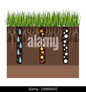 Rasenpflege - Belüftung und Vertikufikation. Labels nach Phase-during. Aufnahme von Substanzen – Wasser, Sauerstoff und Nährstoffen zur Ernährung von Gras und Boden. Vektor Stock Vektor
