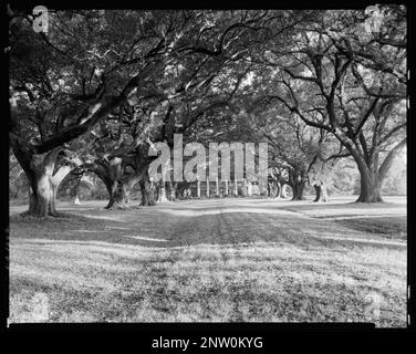 Oak Alley, Vacherie vic., St. James Parish, Louisiana. Carnegie Survey of the Architecture of the South (Carnegie-Umfrage zur Architektur des Südens). Usa, Louisiana, St. James Parish, Vacherie vic, Wohnungen, Perspektive, Bäume. Stockfoto