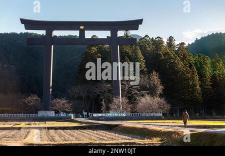 Riesige Torii-Tor von Oyunohara, Kumano Kodo, in der Nähe von Kumano Hongu Taisha Grand Shire, Nakahechi Route, Wakayama, Kinki, Japan Stockfoto