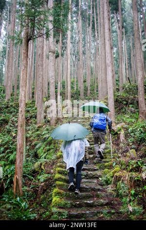 Pilger in Ogumotori-Goe Abschnitt Kumano Kodo, Nakahechi route, Wakayama, Kinki, Japan Stockfoto