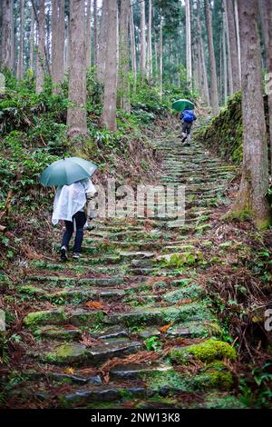 Pilger in Ogumotori-Goe Abschnitt Kumano Kodo, Nakahechi route, Wakayama, Kinki, Japan Stockfoto