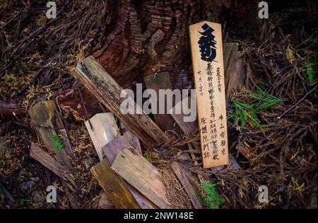 Inschriften der Pilger in Echizen-Toge Pass (Höhe 870 m) ist der höchste Punkt auf Nakahechi route, Ogumotori-Goe Abschnitt Kumano Kodo, Nakahech Stockfoto