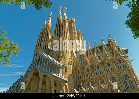 Die Südwand der Sagrada Familia, Basílica de la Sagrada Familia, entworfen von Antoni Gaudi in Barcelona, Spanien. Stockfoto