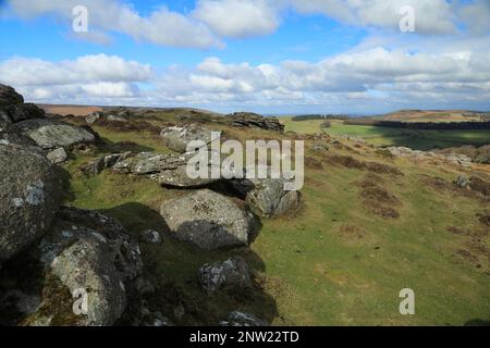 Blick vom Frühling auf Honeybag tor, Dartmoor, Devon, England, Großbritannien Stockfoto