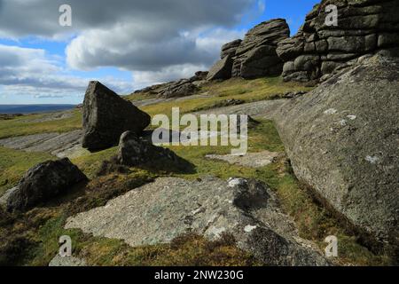 Blick vom Frühling auf Honeybag tor, Dartmoor, Devon, England, Großbritannien Stockfoto