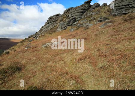 Blick vom Frühling auf Honeybag tor, Dartmoor, Devon, England, Großbritannien Stockfoto