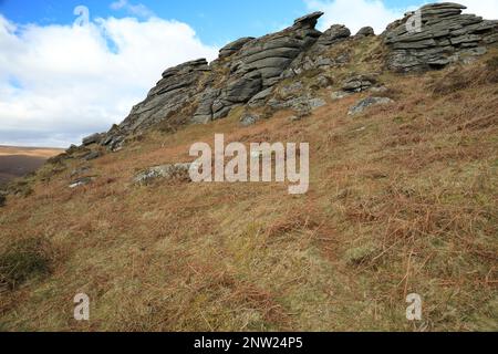 Blick vom Frühling auf Honeybag tor, Dartmoor, Devon, England, Großbritannien Stockfoto