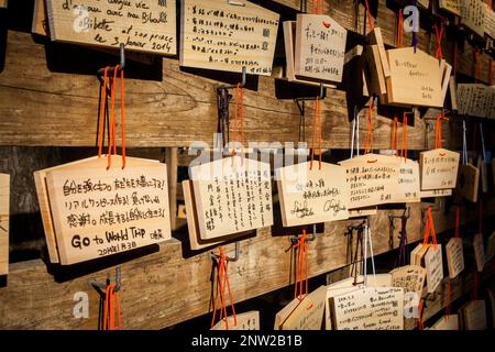 Holztafeln mit Gebete am Heiligtum Meiji Jingu, Tokyo, Japan Stockfoto