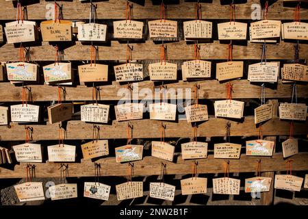 Holztafeln mit Gebete am Heiligtum Meiji Jingu, Tokyo, Japan Stockfoto