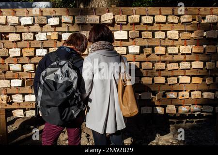 Paar lesen Holztafeln mit Gebete am Heiligtum Meiji Jingu, Tokyo, Japan Stockfoto