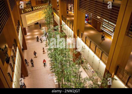 Einkaufszentrum Galleria, Tokyo Midtown Komplex in Tokyo Midtown Tower von den Architekten Tadao Ando und Jun Aoki, Stadtteil Roppongi, Tokyo, Japan Stockfoto