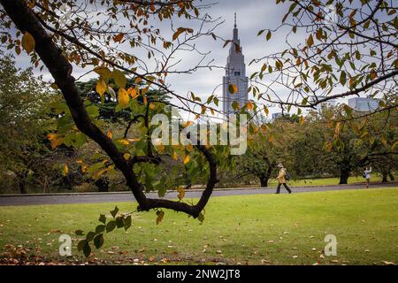 Shinjuku Gyoen Park, Tokio Stockfoto