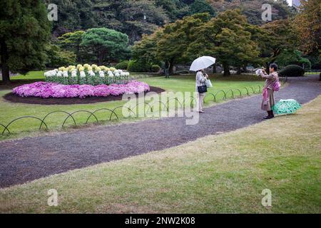 Chrysanthemum-Ausstellung in Shinjuku Gyoen Park, Tokio Stockfoto