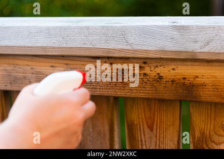 Waschform eines Holzgeländers Stockfoto