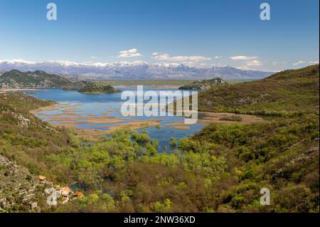 Der See Skadar ist wie eine Postkarte. Liegt an der Grenze von Albanien und Montenegro und ist der größte See in Südeuropa. Es ist nach der Stadt S benannt Stockfoto