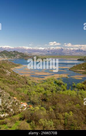 Der Postkartensee Skadar liegt an der Grenze zwischen Albanien und Montenegro und ist der größte See in Südeuropa. Stockfoto