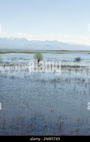 Blick auf den Skadarsee vom Dorf Virpazar, Montenegro Stockfoto