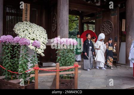 Heiligtum der Meiji Jingu, traditionelle Hochzeit, Tokyo, Japan Stockfoto