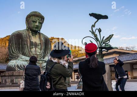Der Daibutsu (bronze-großer Buddha). Kotoku-in Tempel, Kamakura, Japan Stockfoto