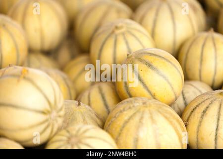 Vollformat Nahaufnahme eines Stapels Charentais Melonen auf einem Marktstand. Stockfoto