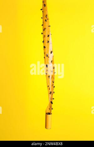 Klebriges Insektenband mit toten Fliegen auf gelbem Hintergrund Stockfoto
