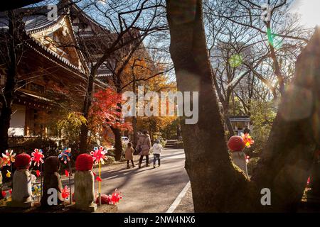 Zojoji Tempel und Tokyo Tower, Tokyo, Japan Stockfoto