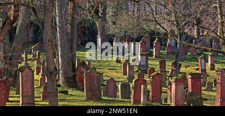 SHUM Alter jüdischer Friedhof, Judensand, Mombacher Straße. 61, 55122 Mainz, Rheinland-Pfalz, Deutschland Stockfoto