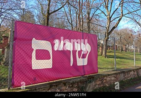 SHUM Alter jüdischer Friedhof, Judensand, Mombacher Straße. 61, 55122 Mainz, Rheinland-Pfalz, Deutschland Stockfoto