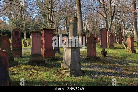 SHUM Alter jüdischer Friedhof, Judensand, Mombacher Straße. 61, 55122 Mainz, Rheinland-Pfalz, Deutschland Stockfoto